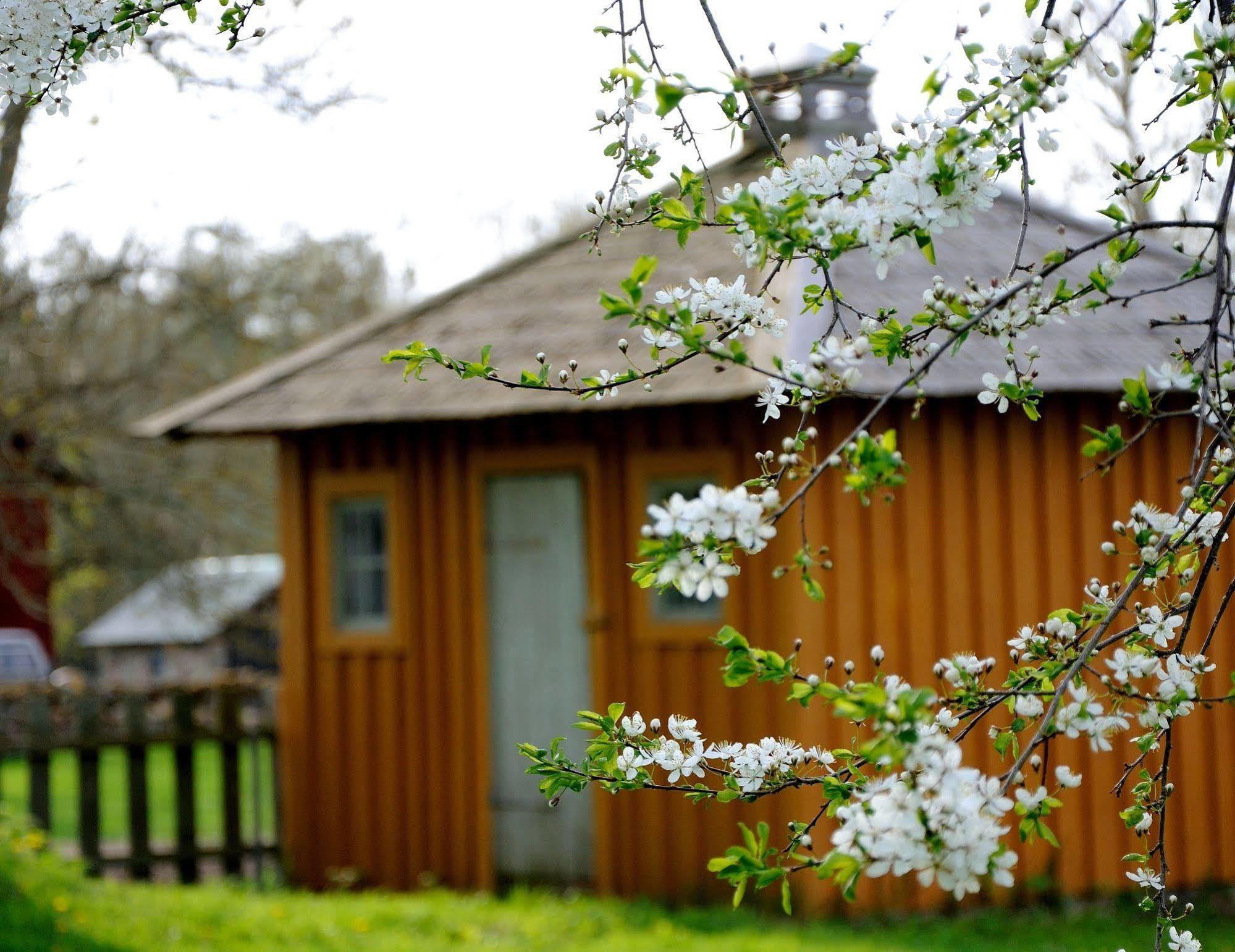 Nästegården Bed&Breakfast Sätuna Eksteriør billede